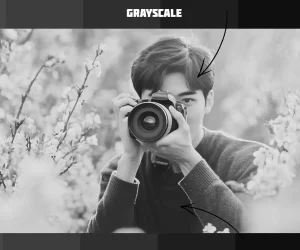 Photographer in a field of blossoms captured in grayscale using Photoshop.