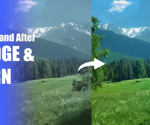 Before and after image showcasing the effect of the Lightroom Dodge and Burn tool on a landscape. The left side shows a muted image, while the right side displays a more vibrant and enhanced version after applying Dodge and Burn.