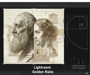 Image showing the Lightroom golden ratio overlay on a classical artwork depicting two faces.